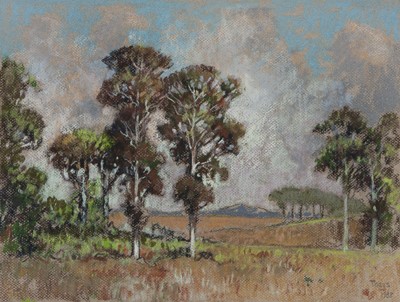 Lot 219 - Conrad Theys (South Africa 1940-)